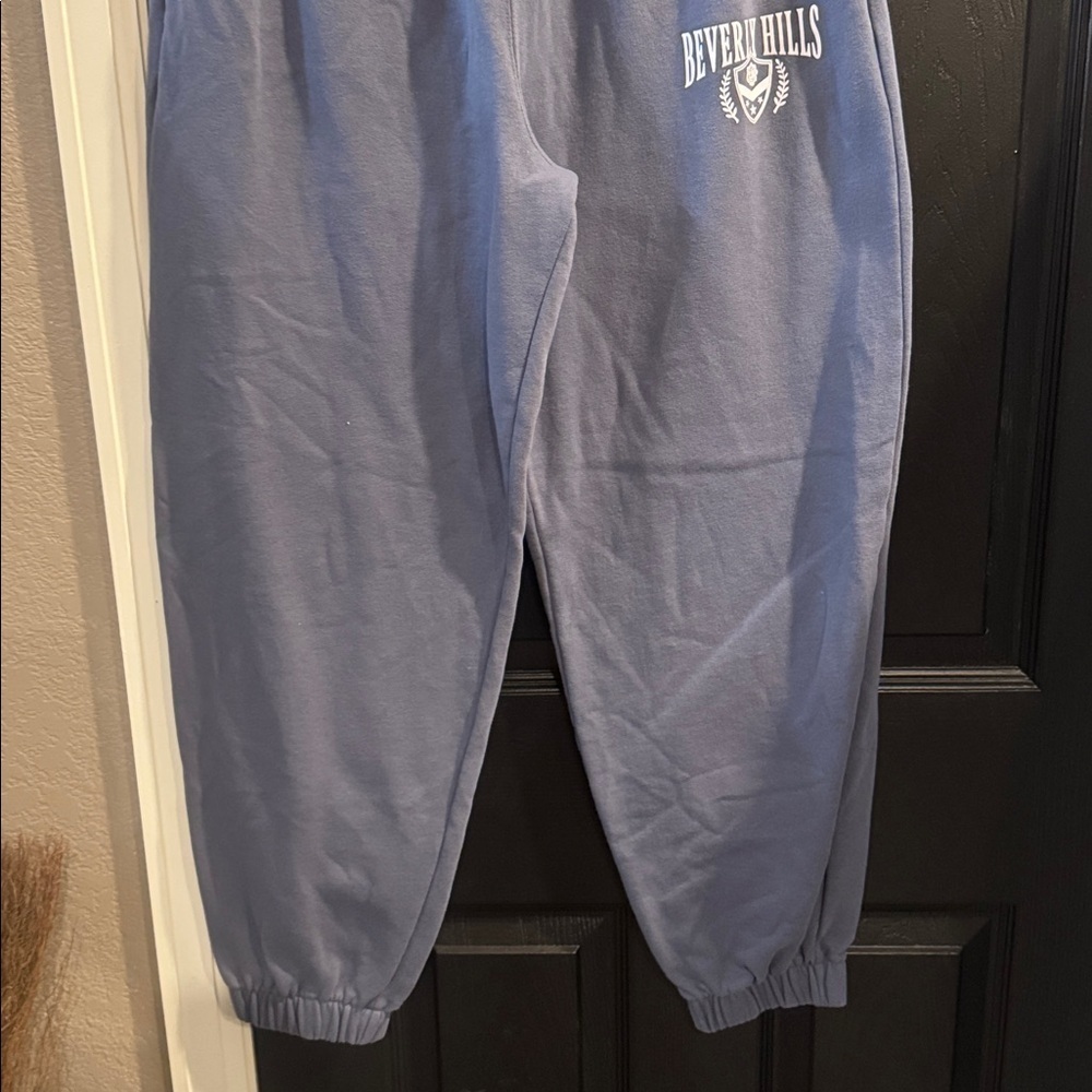 Hollister Blue Graphic Sweatpants - Picture 3 of 5